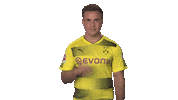 borussia dortmund yes Sticker by Bundesliga