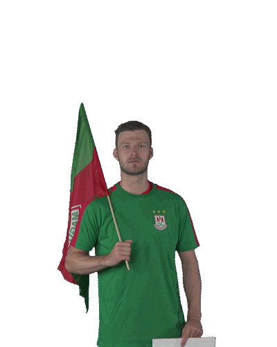 Handball-Bundesliga Handball Sticker by DAIKIN HBL