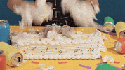 celebrate happy birthday GIF by Birthday Bot
