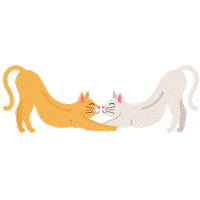 Cat Dog Sticker by Rover.com