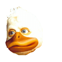 duck Sticker
