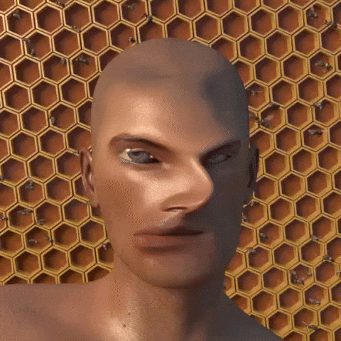 Wtf Confused GIF by Cool 3D World