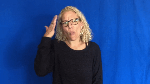 jenmari giphygifmaker asl why GIF