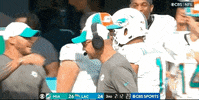Regular Season Football GIF by NFL