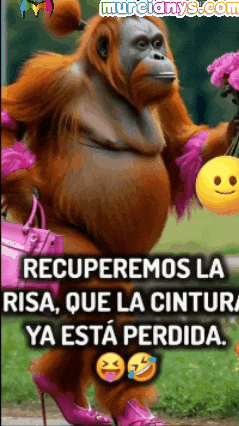 Humor Amigos GIF by Murcianys LLC