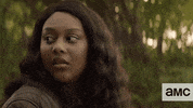 The Walking Dead Zombie GIF by AMC Latinoamérica