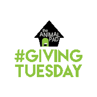 Giving Tuesday Sticker by theanimalpad