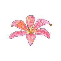 Flower Casetify Sticker