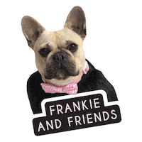 frankieandfriends frenchie frankie frenchbulldog dog fashion Sticker