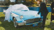 Car Love GIF by Allison Ponthier
