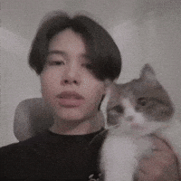 Louis GIF