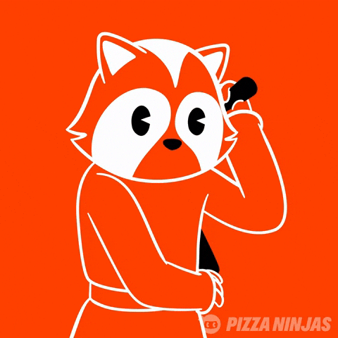 Raccoon Stealth GIF by Pizza Ninjas