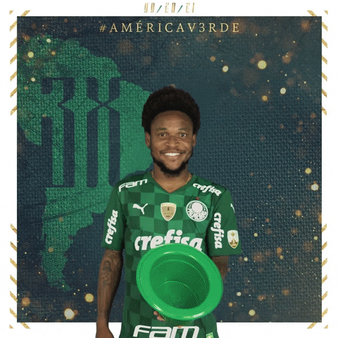 Soccer Futebol GIF by SE Palmeiras