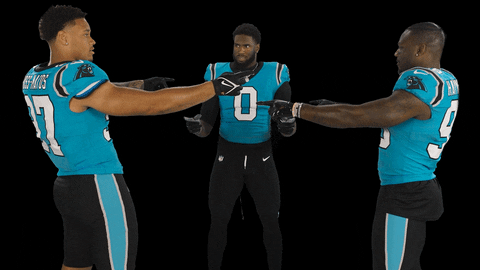 North Carolina Football GIF by Carolina Panthers - Find & Share on GIPHY