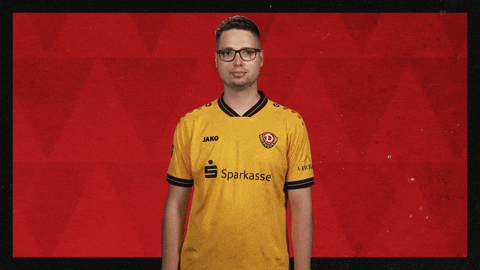 Dynamo Dresden Football GIF by Bundesliga