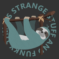 pierrekerner sloth ssaft paresseux strange stuff and funky things GIF