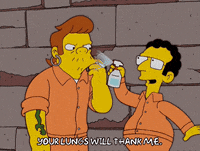 episode 14 snake GIF