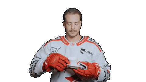 Trinec Sticker by HC Oceláři Třinec