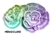 Mind Mushroom Sticker by MINDCURE