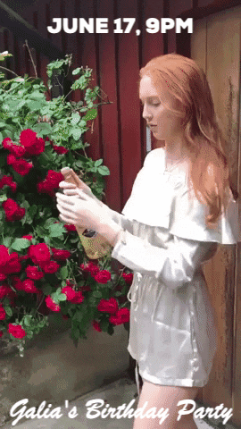 mushon giphyupload GIF