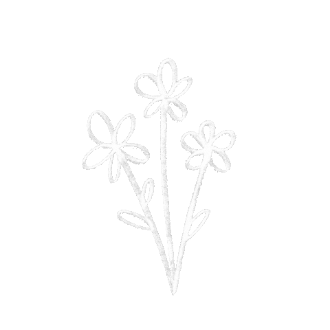 Flower Stars Sticker