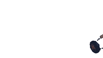 Tim Miller Sticker by Richmond Spiders