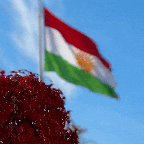 Flag Al GIF