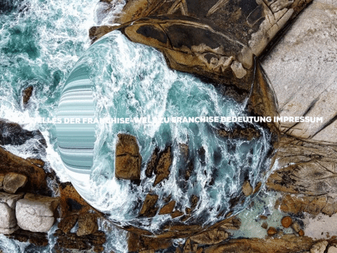 FranchiseONE giphygifmaker damn enjoy franchise GIF