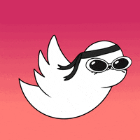 SappySealsCommunity like bird fly flying GIF
