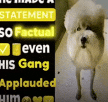 Statement GIF