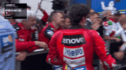 Le Mans Win GIF by MotoGP™