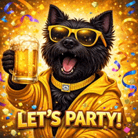 Celebrate Happy Birthday GIF by Terry Toto