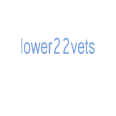lower22vets giphygifmaker mentalhealth ptsd suicideawareness Sticker