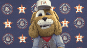 Spike Roundrock GIF by Round Rock Express