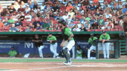 kccougars kccougars GIF