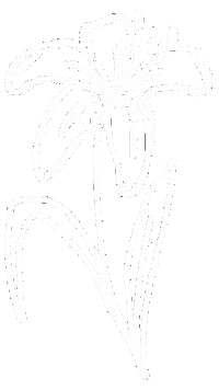 Padres Lirio Sticker