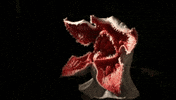 Head Things GIF