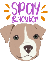 Adopt Pit Bull Sticker by HeARTs Speak