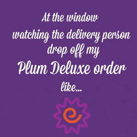 plumdeluxe plum deluxe GIF