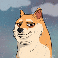 Raining Shiba Inu GIF by Doge Pound