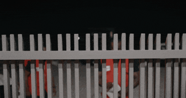 kingofboysmovie receipts kingofboys king of boys GIF