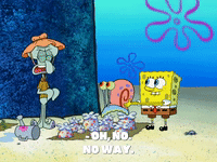 season 8 barnacle face GIF by SpongeBob SquarePants