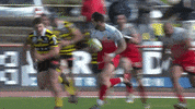 fc grenoble run GIF by FCG Rugby