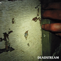 Terrifying Peek A Boo GIF by Deadstream
