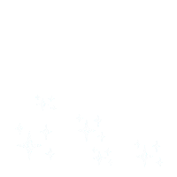 Sparkling Little Star Sticker