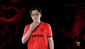 Brawl Stars Love GIF by Tribe Gaming