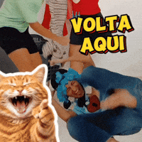 Volta GIF
