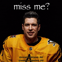 Pittsburgh Penguins Nhl GIF