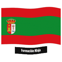 Flag Spain Sticker by Formación Ninja