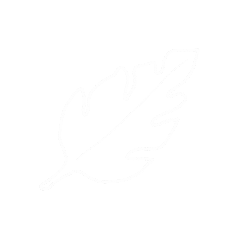 Flower Plant Sticker